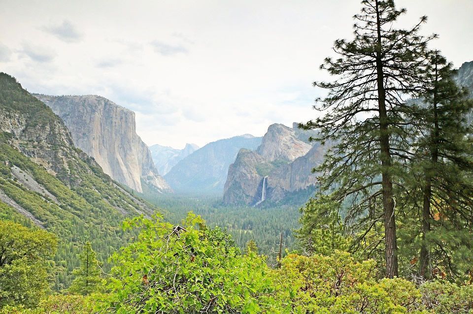 Visita organizada en autobús a Yosemite desde San Francisco