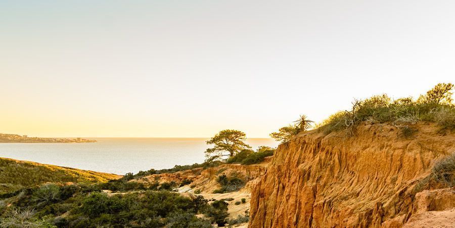 Torrey Pines